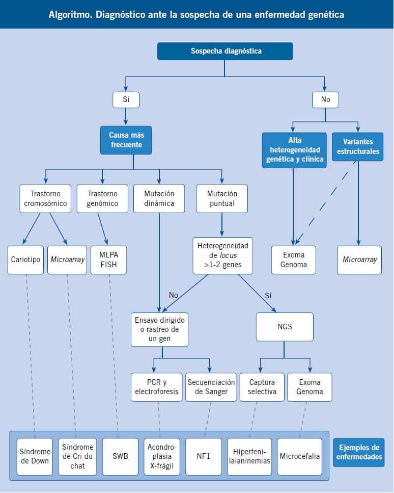 Nuevas metodologías en el estudio de enfermedades genéticas y sus ...