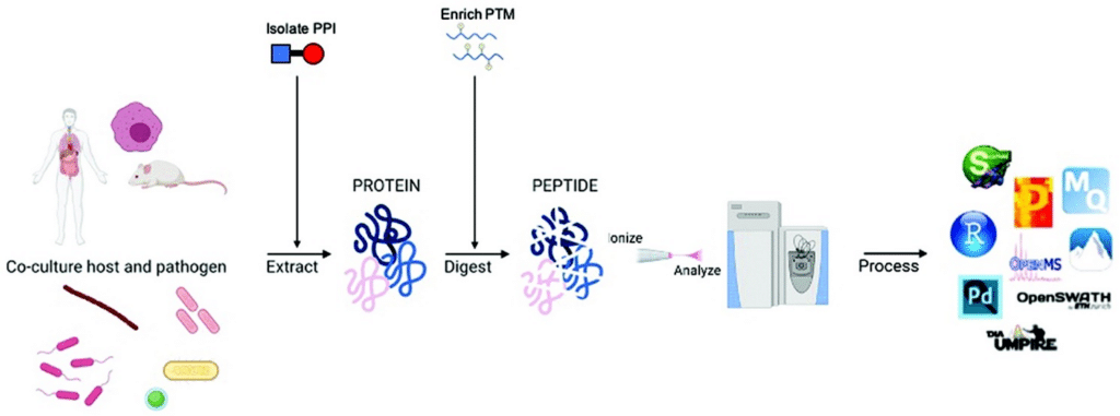 BOTTOM-UP PROTEOMICS: VENTAJAS, INCONVENIENTES Y FUTURO DE ESTE ...