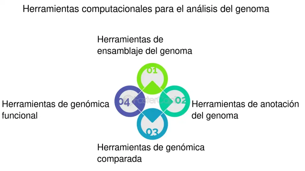 Genómica Funcional - FasterCapital