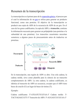 Transcripción | PDF