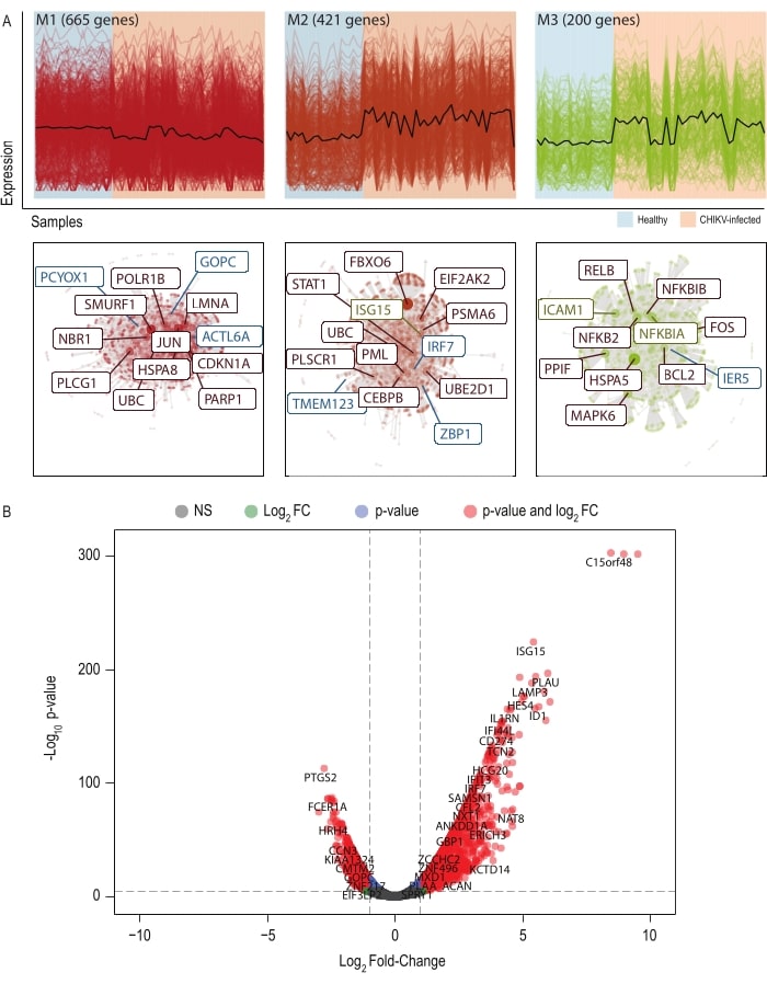 Análisis de transcriptoma de alto rendimiento para investigar las ...