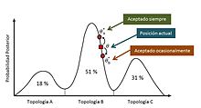 Árbol filogenético de consenso bayesiano (regla de mayoría del 50 ...