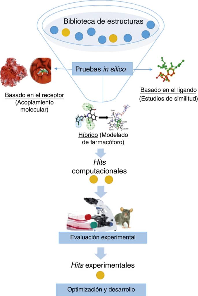Descubrimiento y desarrollo de fármacos: un enfoque computacional ...