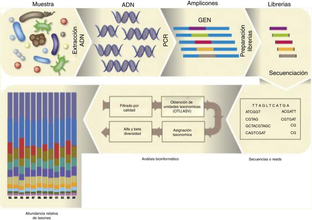 Aplicaciones de la bioinformática en el estudio del virus SARS-CoV-2