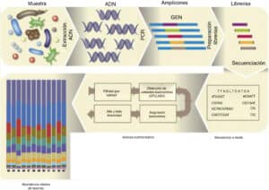 Aplicaciones de la bioinformática en el estudio del virus SARS-CoV-2