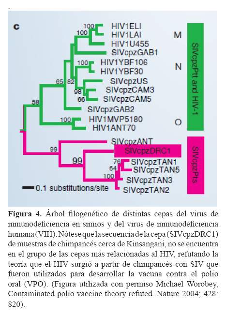 Aportes de la filogenética a la investigación médica