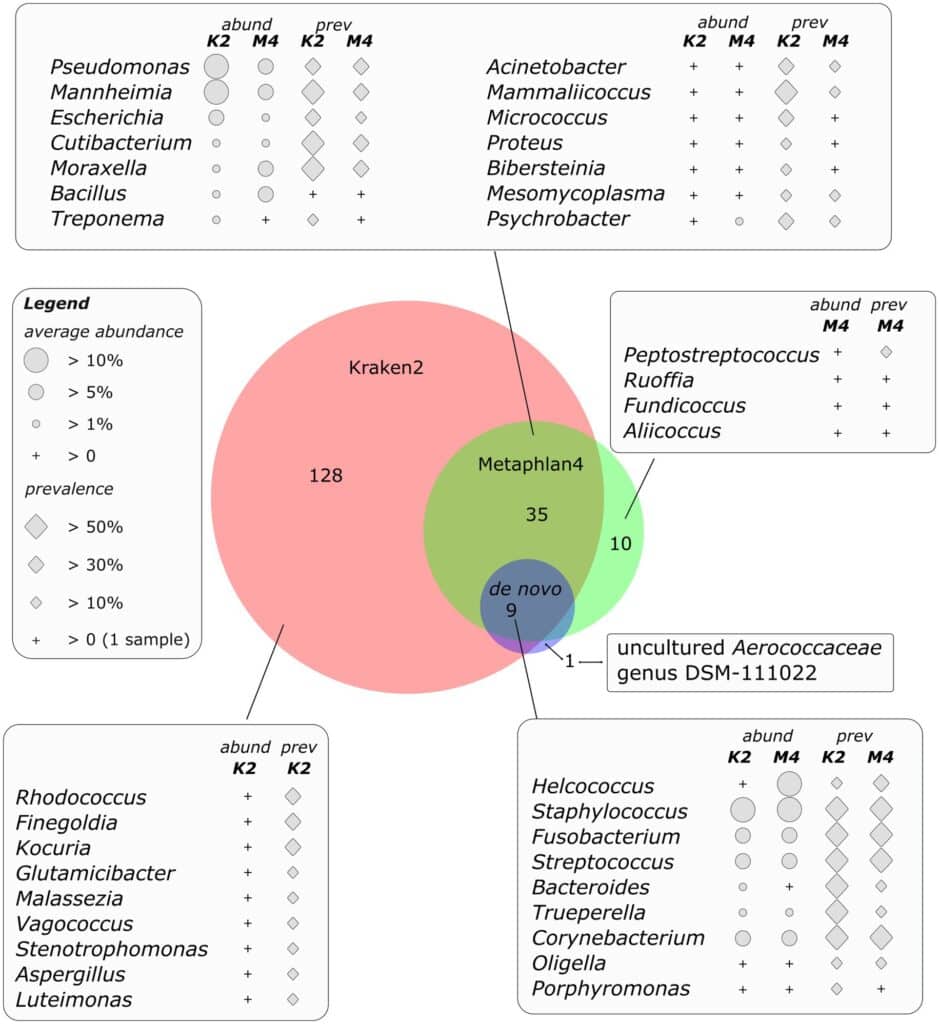 Perfil metagenómico de las comunidades virales y microbianas de ...