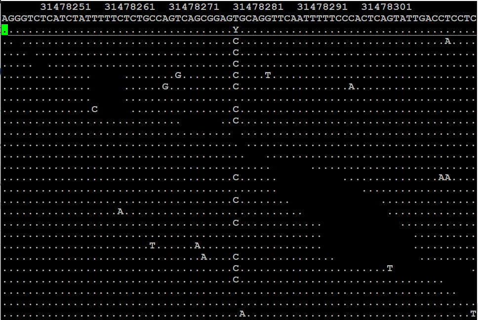 Práctica 2 – Biocomputación