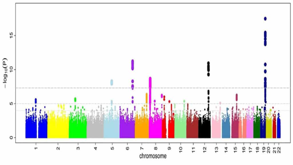 Que son los estudios de asociación del genoma (GWAS)? - El·lipse