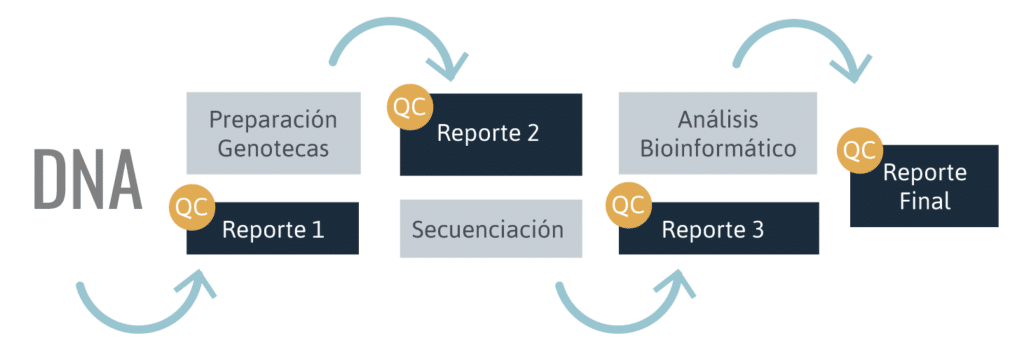 Secuenciación de DNA genómico - Genoma MayorGenoma Mayor