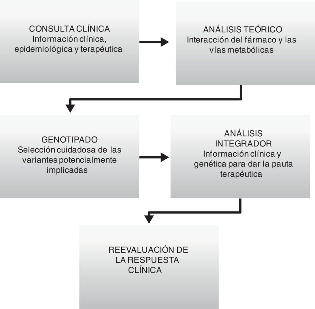 Farmacogenómica: la medicina personalizada | Revista del ...