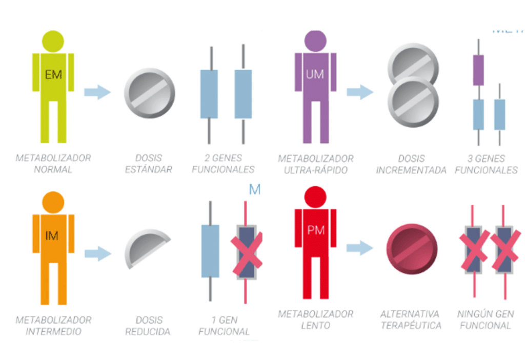 Recomendaciones clínicas en farmacogenética