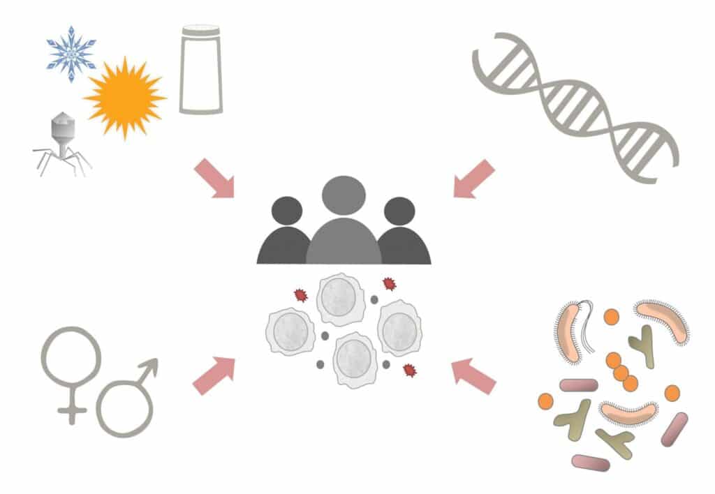 Cómo influyen genes y ambiente en la respuesta inmunitaria - Genotipia