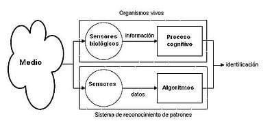 Reconocimiento de patrones - Wikipedia, la enciclopedia libre