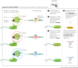 Tecnología CRISPR - CRISPRpedia