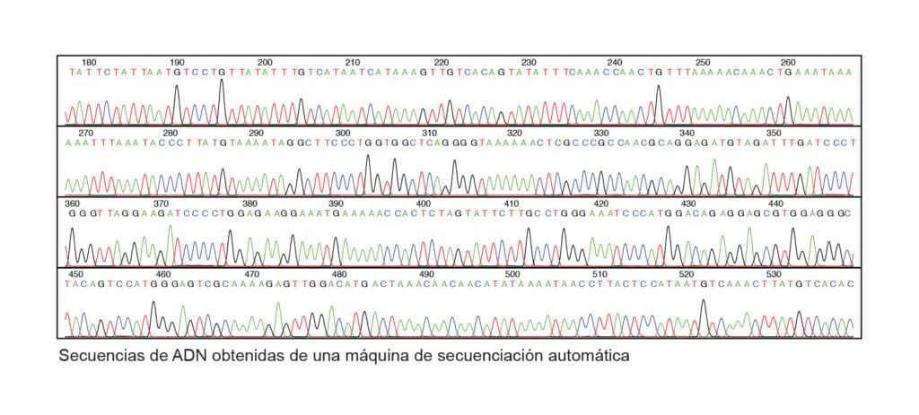 Secuenciación de ADN