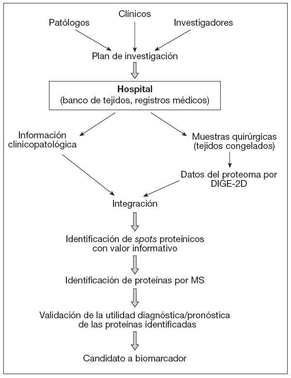 Metodología y aplicaciones en proteómica clínica | Diálisis y ...