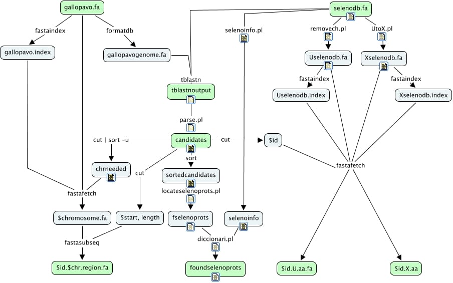 Bioinformática | Selenoproteínas de <I>Meleagris Gallopavo</I>