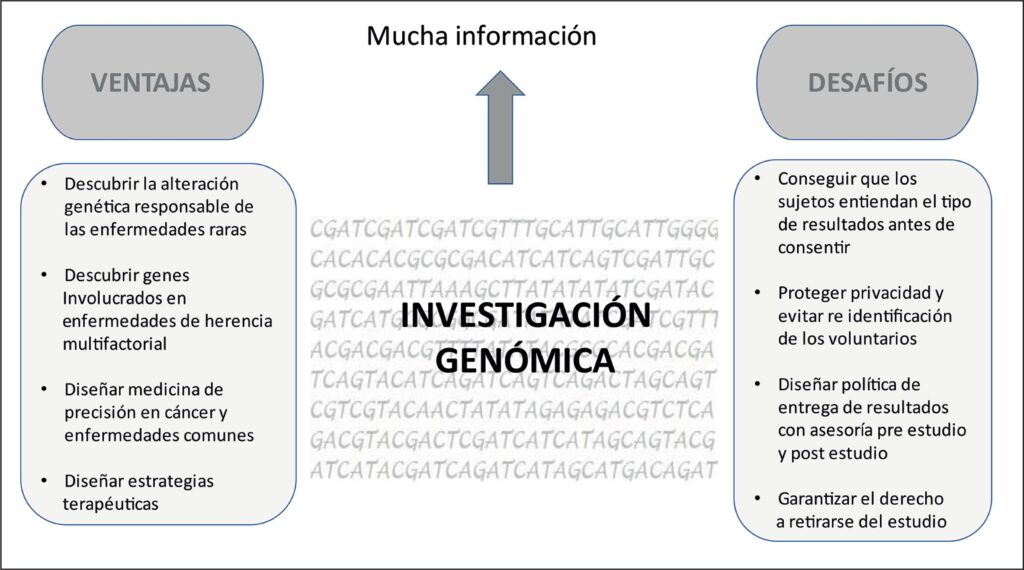 Aspectos éticos y recomendaciones para investigación en seres ...