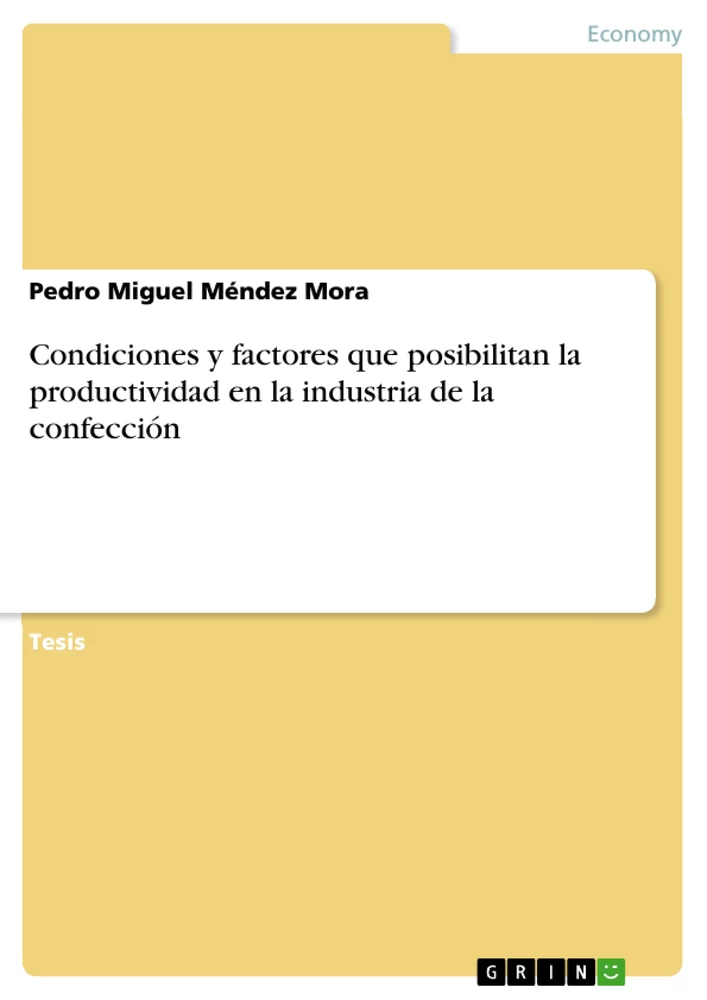 GRIN - Condiciones y factores que posibilitan la productividad en la  industria de la confección