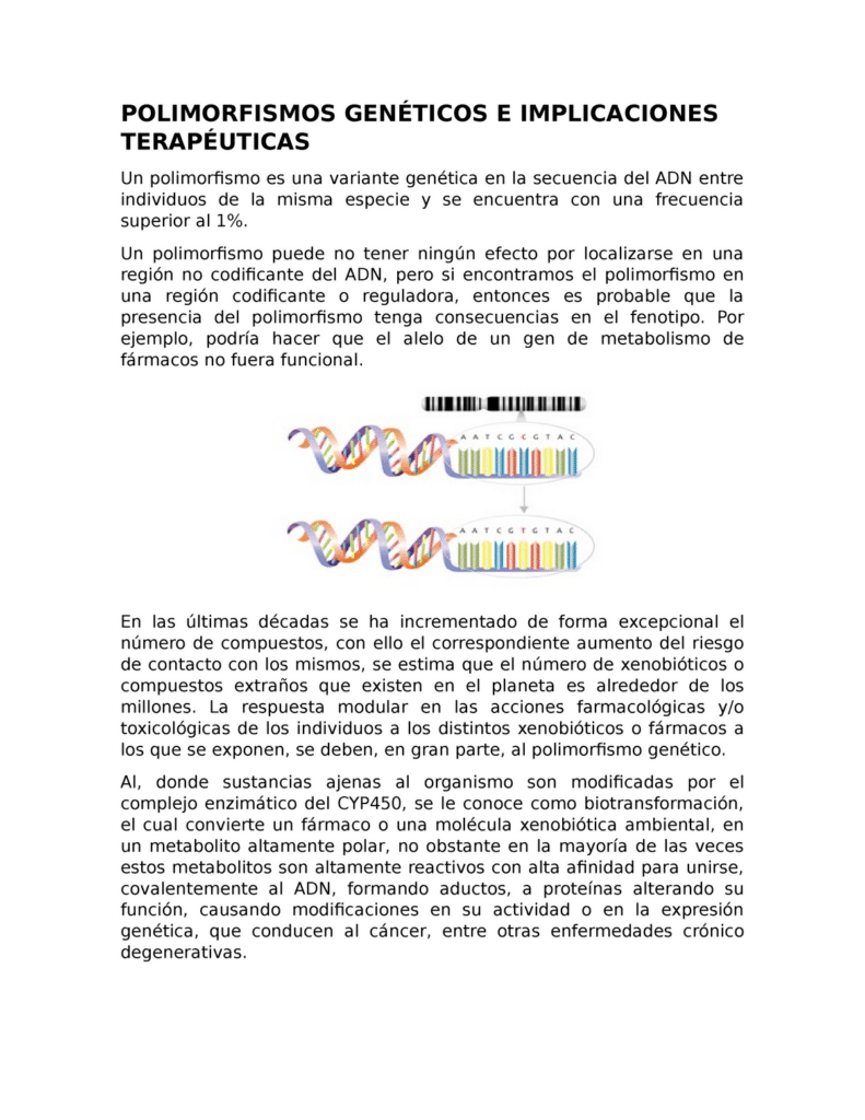 Polimorfismos Genéticos doc - POLIMORFISMOS GENÉTICOS E ...