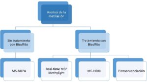 Biomarcadores epigenéticos: hacia su implantación en la rutina ...