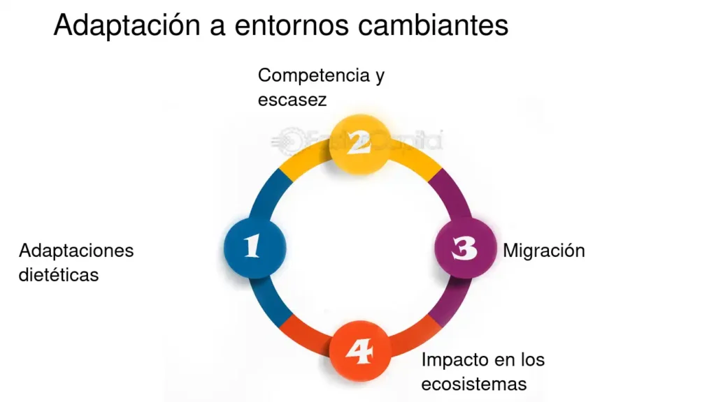 Variación Genética Y Adaptación A Entornos Cambiantes - FasterCapital