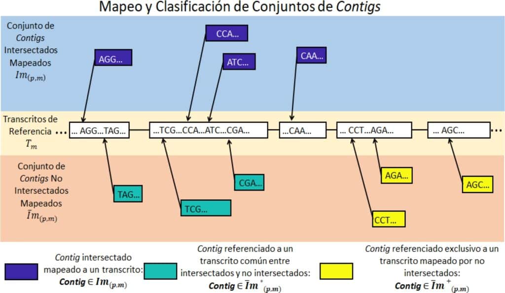 ESTUDIO DEL TRANSCRIPTOMA MEDIANTE RNA-SEQ CON ÉNFASIS EN LAS ...