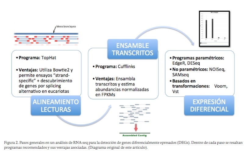 ANALIZANDO DATOS DE RNA-Seq EN PROCARIOTAS: UNA REVISIÓN PARA NO ...