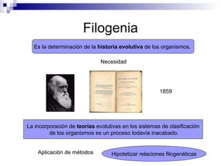 Filogenia y clasificación | PPT