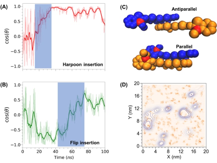 Advancing Cell Membrane Biophysics - Exploring Interactions and ...