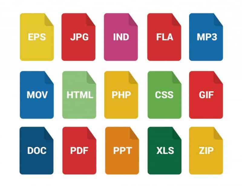 Tipos de archivo en Data Science| SEOVALLADOLID.ES