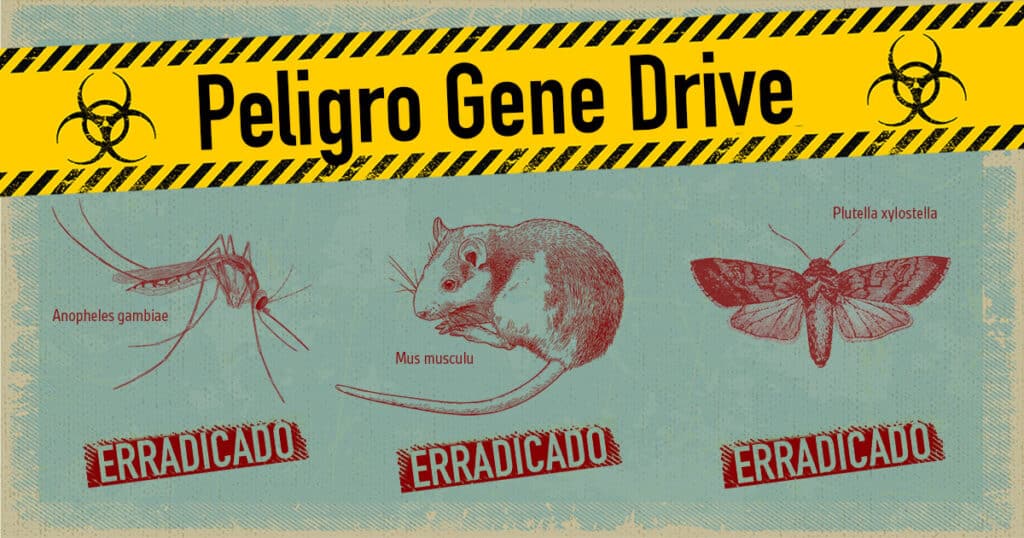 ▷¿Qué Es El Gene Drive Y Cómo Puede Ayudarnos A Vencer Enfermedades?