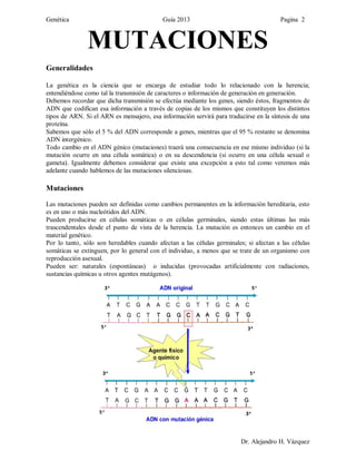 Genetica guia 01 | PDF