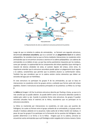 Guía Proteínas (Revisada) | PDF