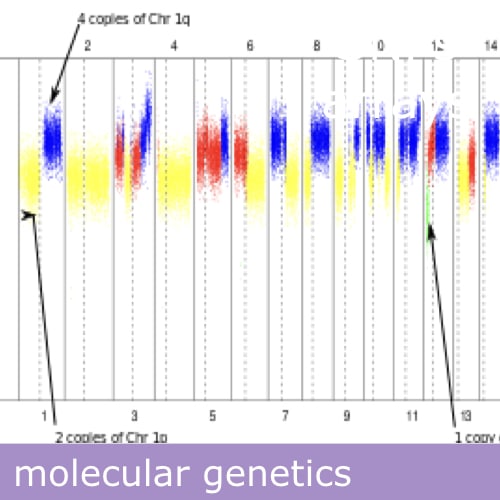 SNPs arrays - qGenomics