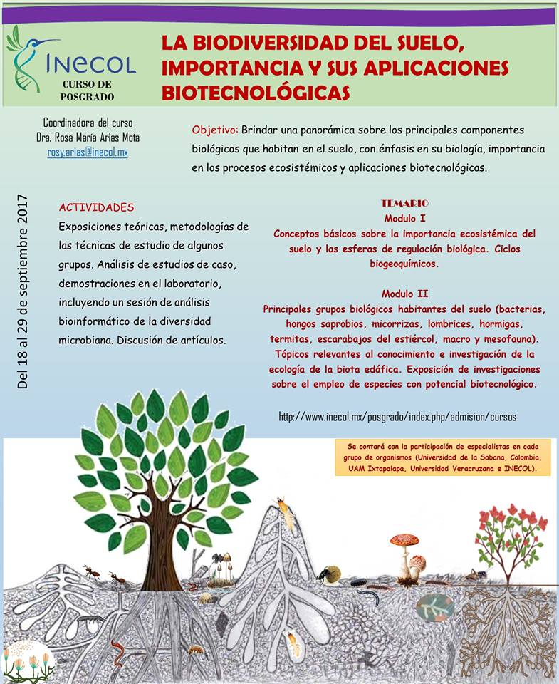 La Biodiversidad del Suelo, Importancia y sus Aplicaciones ...