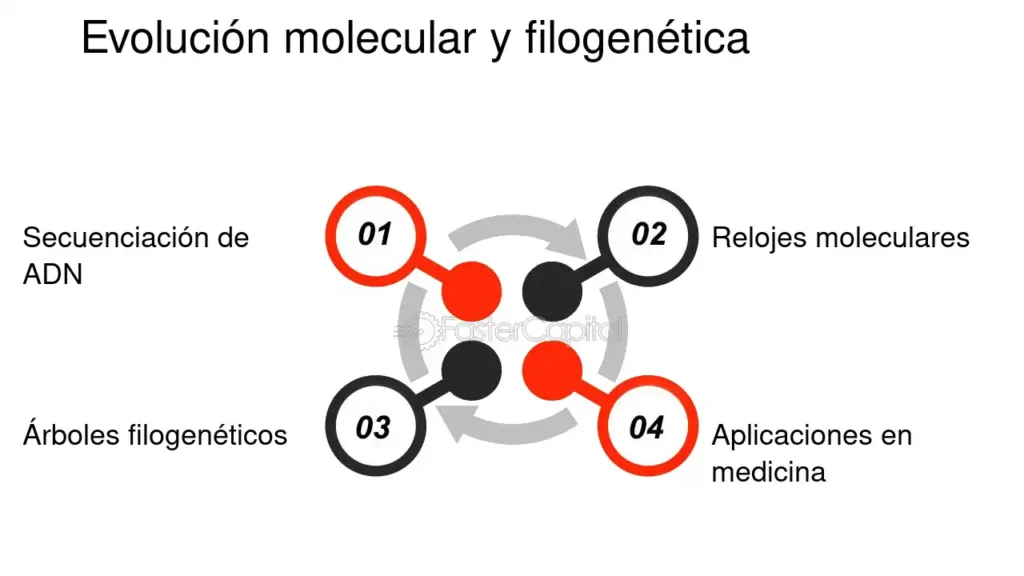 Genetica de la poblacion explorar el papel de la genetica en los ...