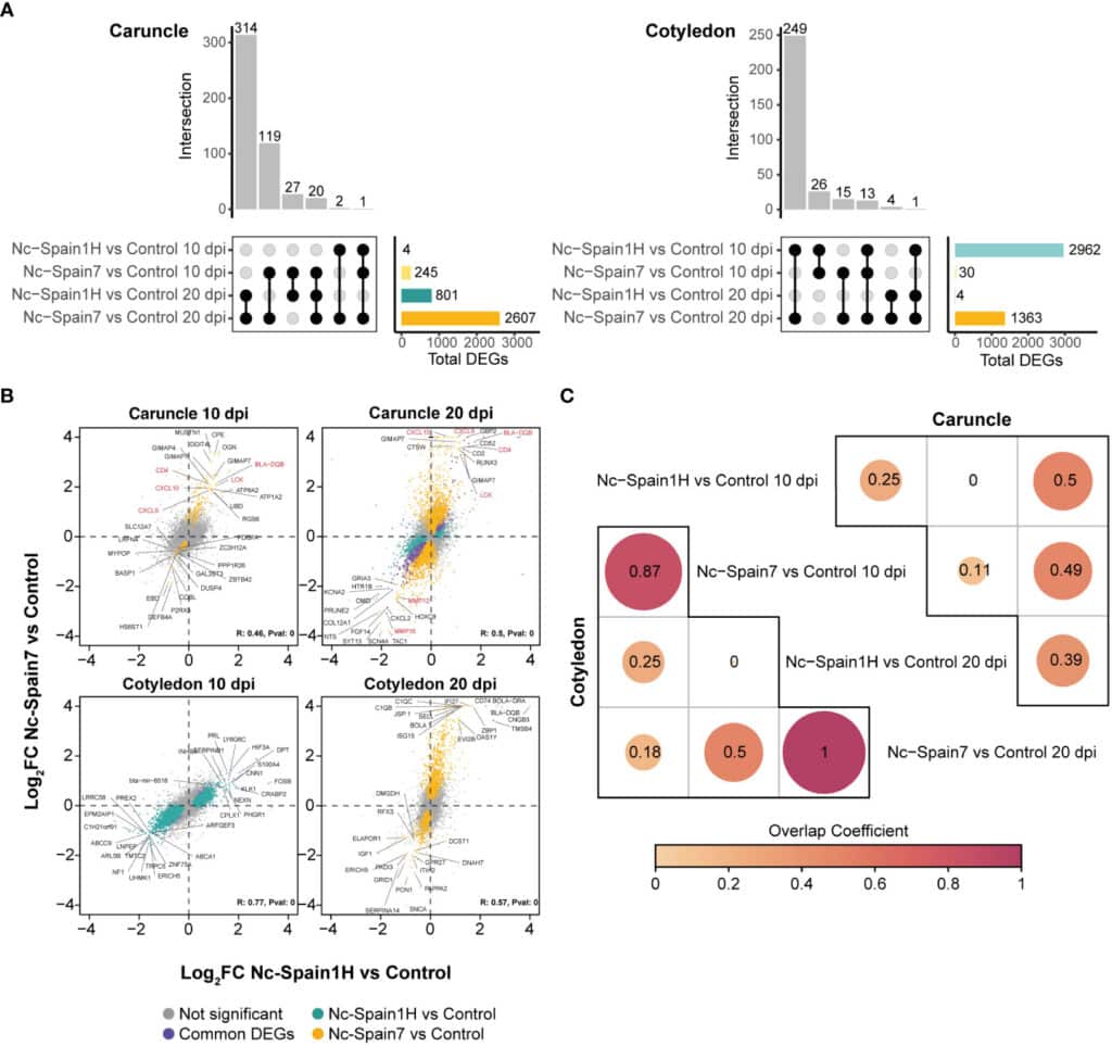 El análisis del transcriptoma completo revela interacciones ...