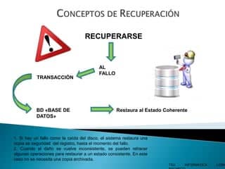 Técnicas de Recuperación Bases de Datos | PPT