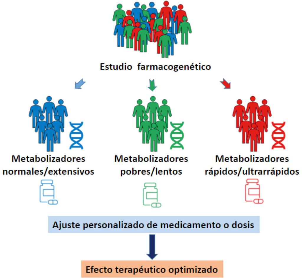 Uso de la farmacogenética como herramienta de precisión en ...