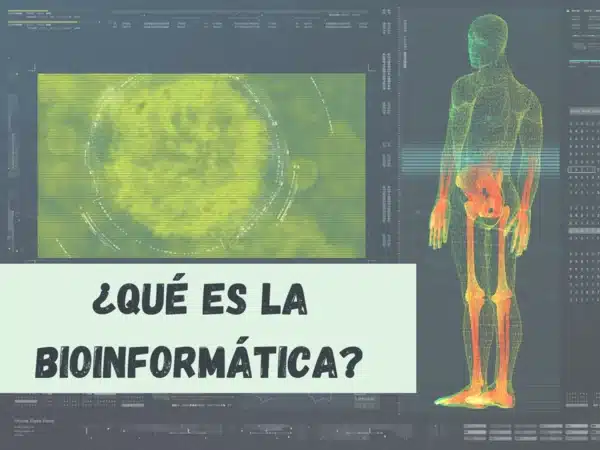 Qué es la bioinformática y por qué es importante?