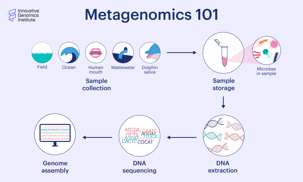 Metagenómica 101 con Spencer Diamond - Innovative Genomics ...