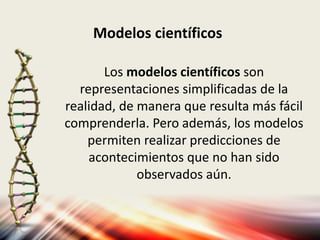 Los modelos en la ciencia | PPT