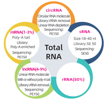 Secuenciación del transcriptoma completo – Illumina