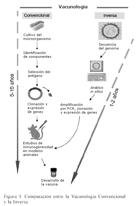 Vacunas derivadas del análisis de los genomas: vacunología inversa