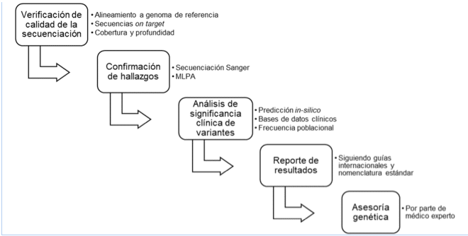 Secuenciación de nueva generación (NGS) de ADN: presente y futuro ...