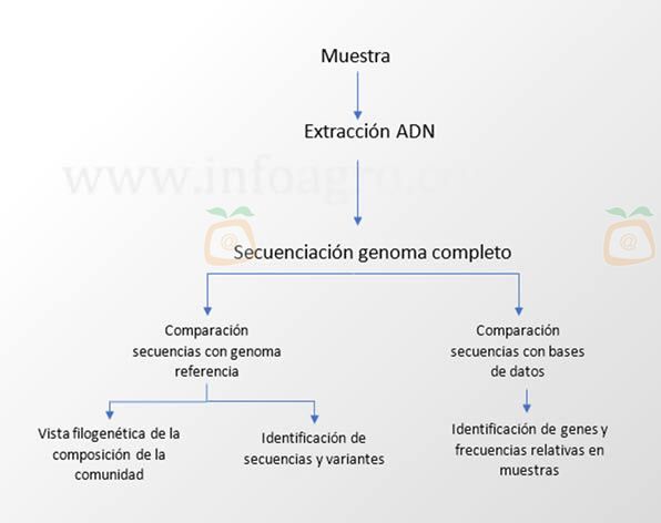 La metagenómica en agricultura. Procedimientos y técnicas