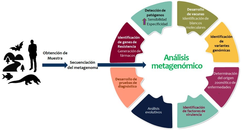 Panorama general de la metagenómica como alternativa para el ...