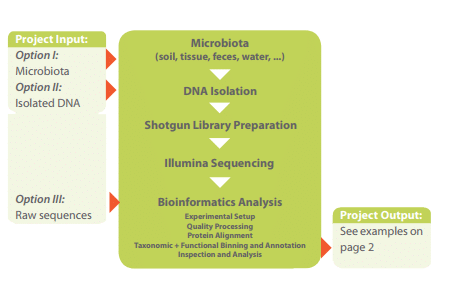 Análisis metagenómico de la microbiota- Ibiantechnologies